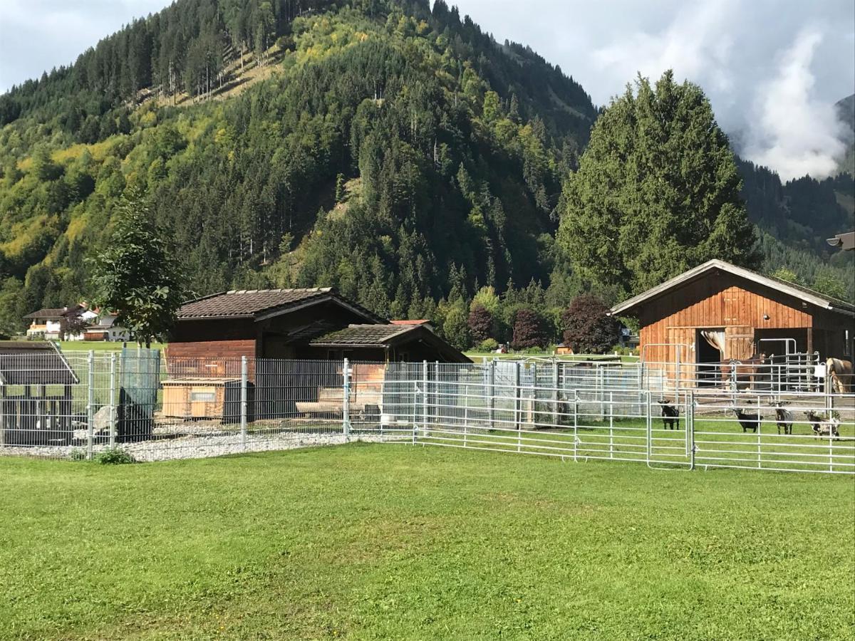 Pony-Ziegen-Hasen-Ranch Bichlbach Apartment Luaran gambar