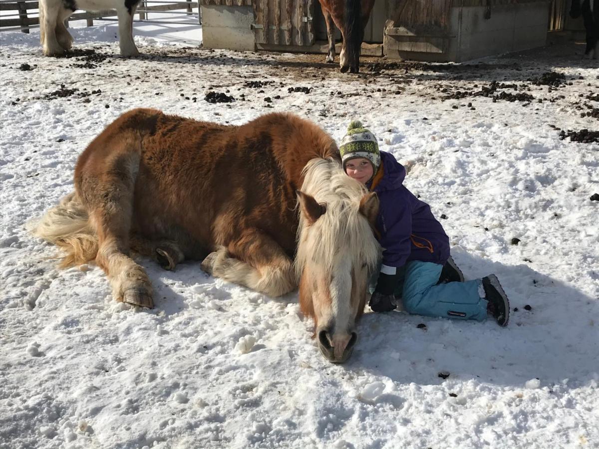 Pony-Ziegen-Hasen-Ranch Bichlbach Apartment Luaran gambar