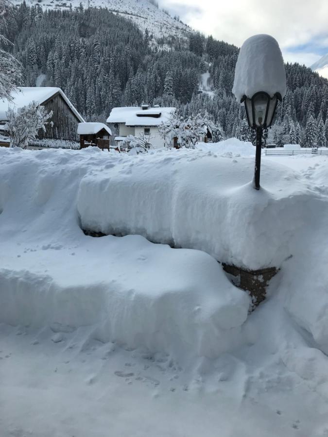 Pony-Ziegen-Hasen-Ranch Bichlbach Apartment Luaran gambar