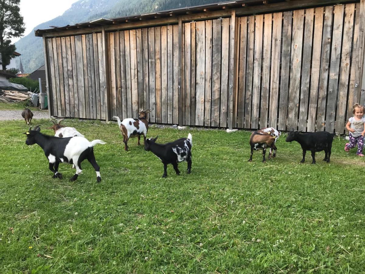 Pony-Ziegen-Hasen-Ranch Bichlbach Apartment Luaran gambar